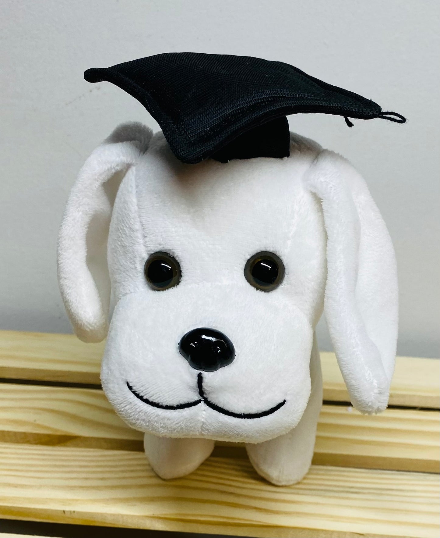 grad dog plush