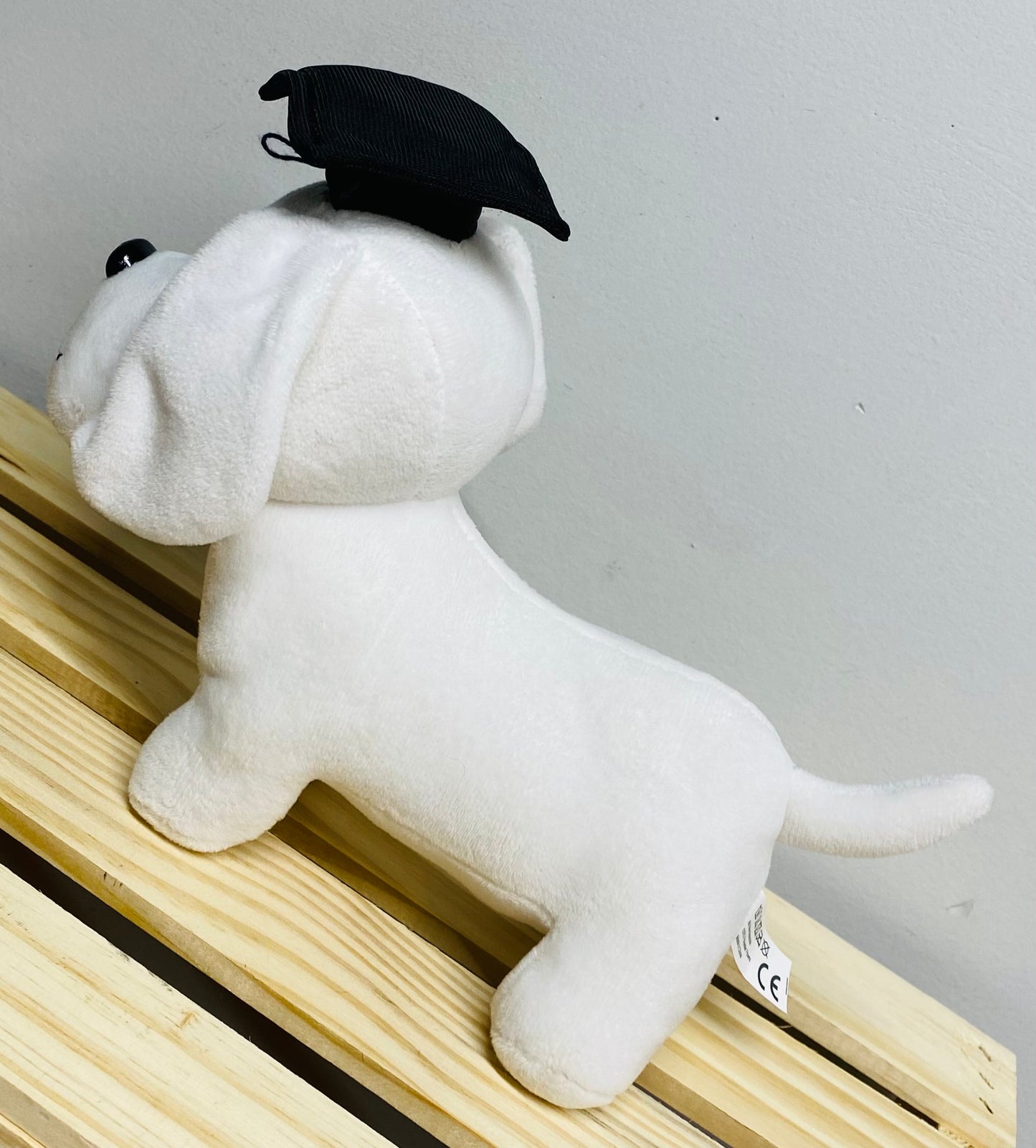 grad dog plush