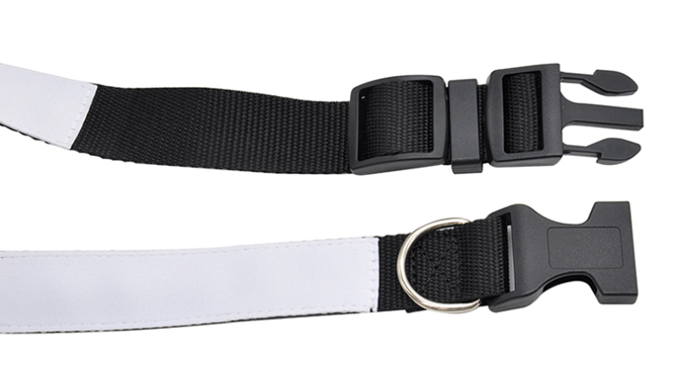 dog collar
