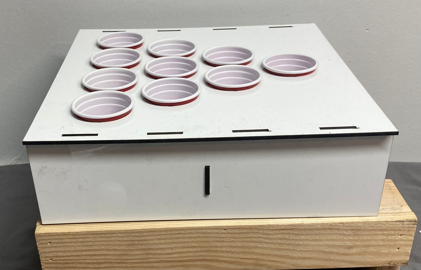 shot glass pong