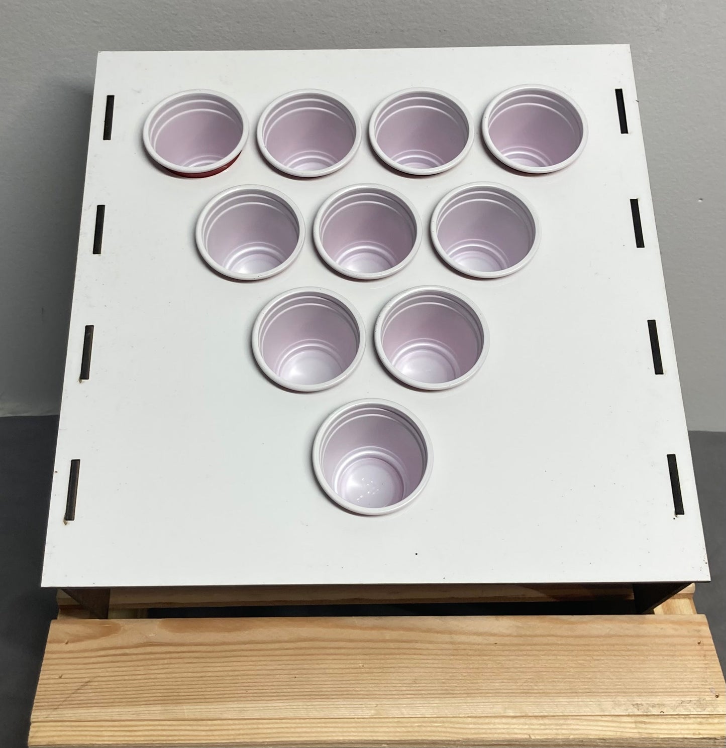 shot glass pong